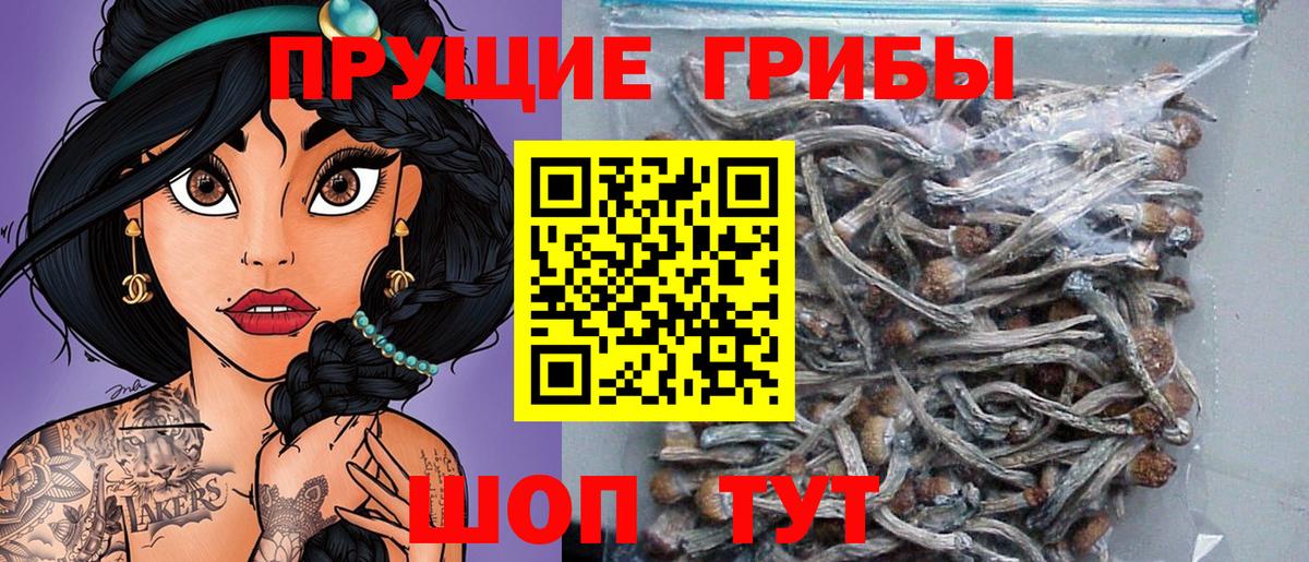 Клин  Псилоцибиновые грибы Psilocybine cubensis  Псилоцибиновые грибы Cubensis  Вход с VPN 