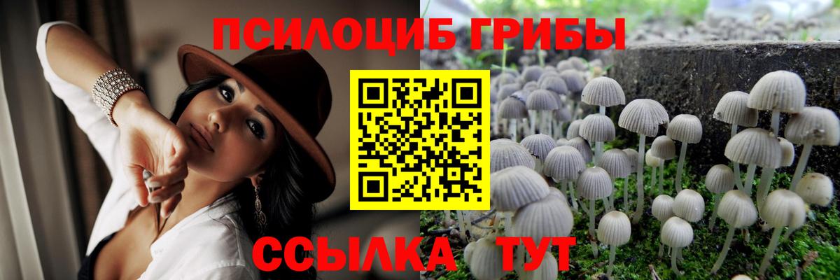 Галлюциногенные грибы Magic Shrooms Клин